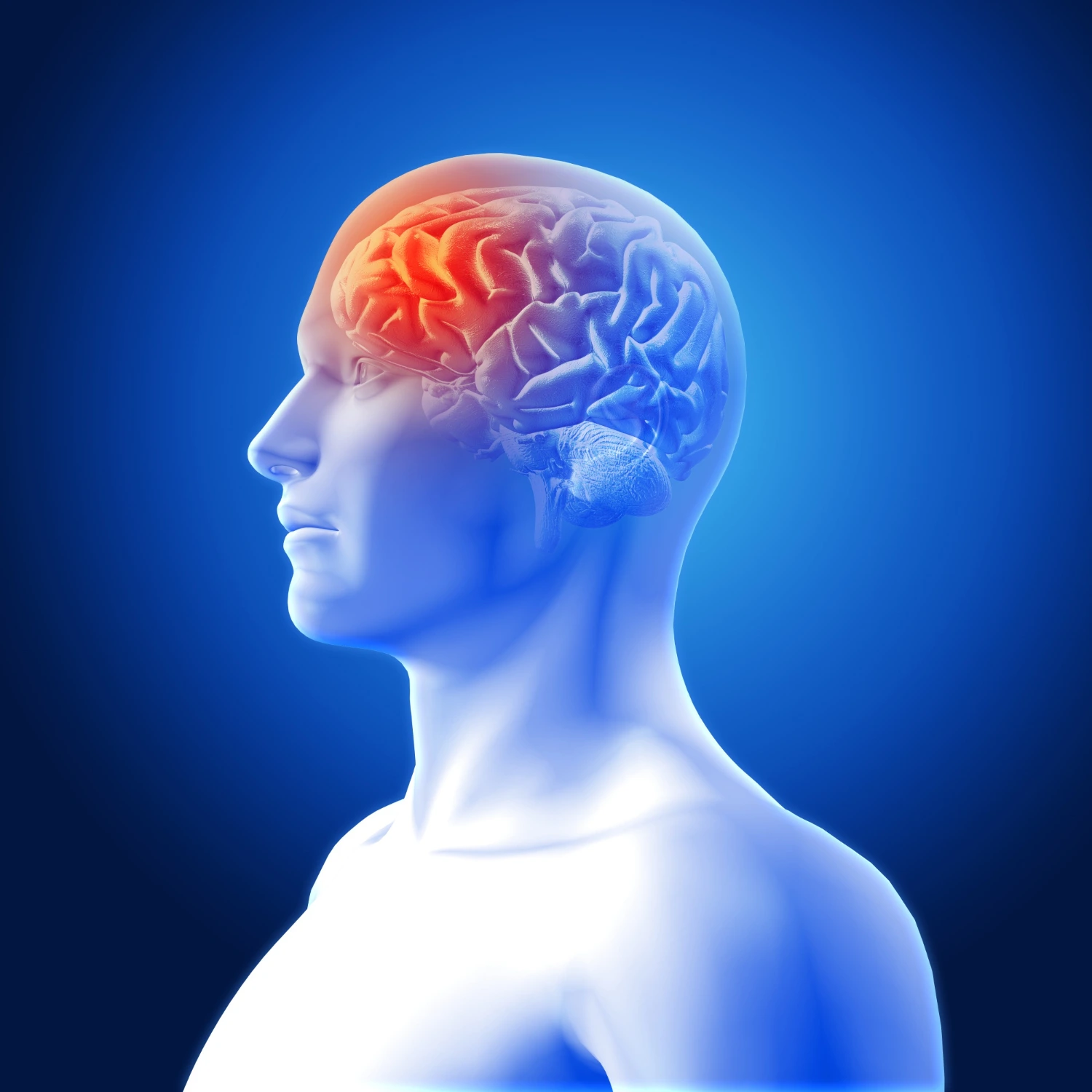 Brain - Most Complex Organ of Human Body